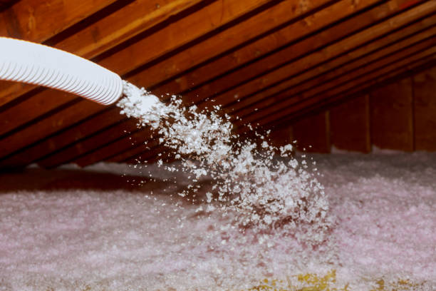 Best Geographic-Specific Insulation Services in Mescal, AZ